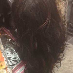 Elegant Black and Brown Women's Hair Wig